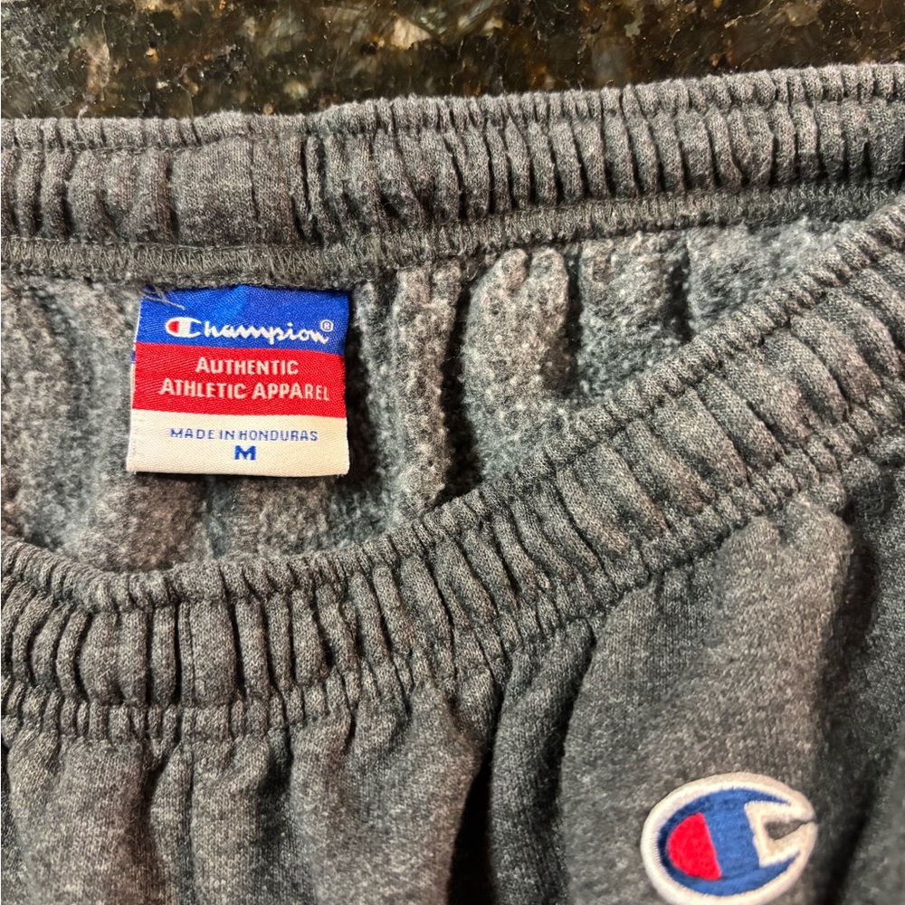 Princeton Gray Champion Jogger Sweatpants - Picture 3 of 3